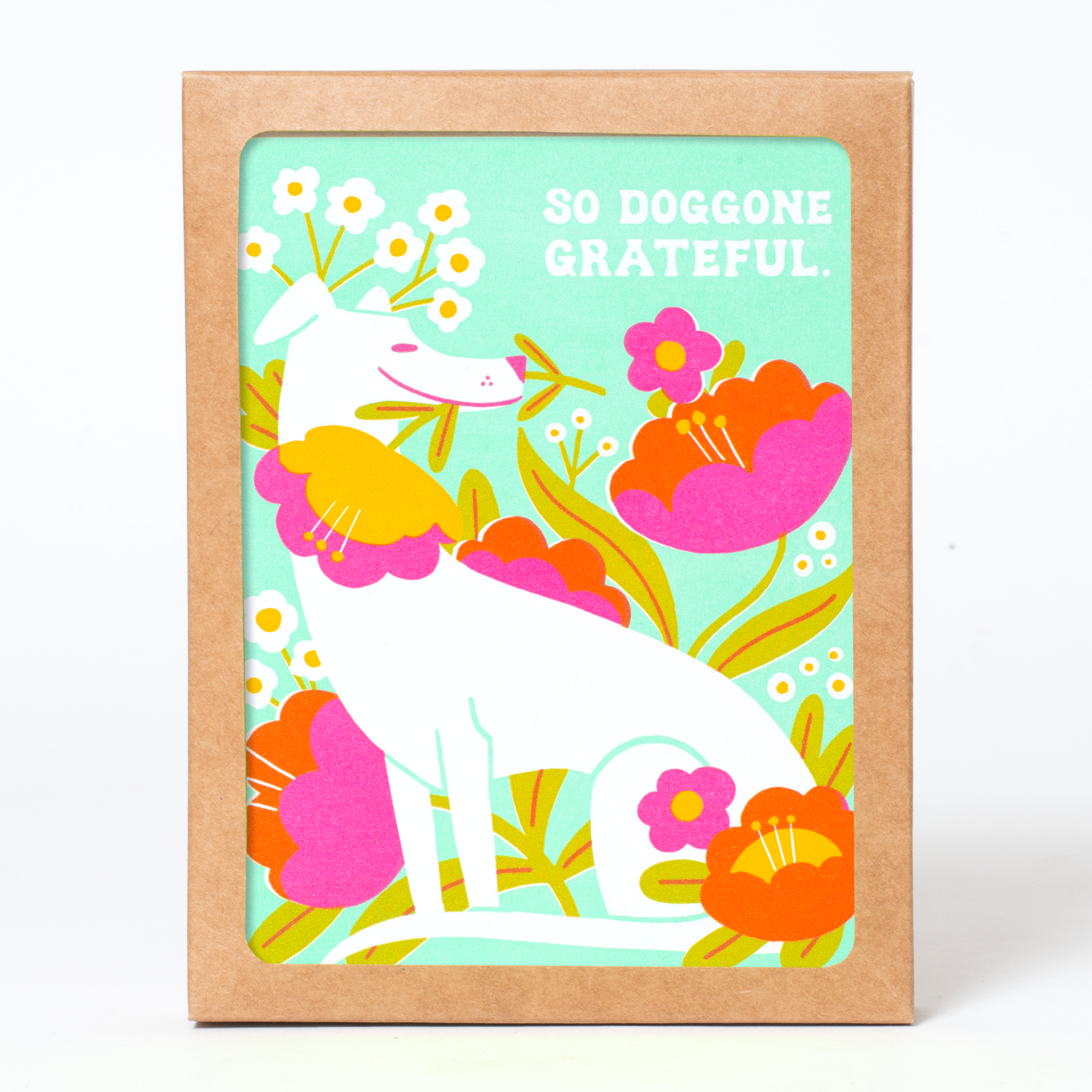 Doggone Grateful Thanks Greeting Card Box Set