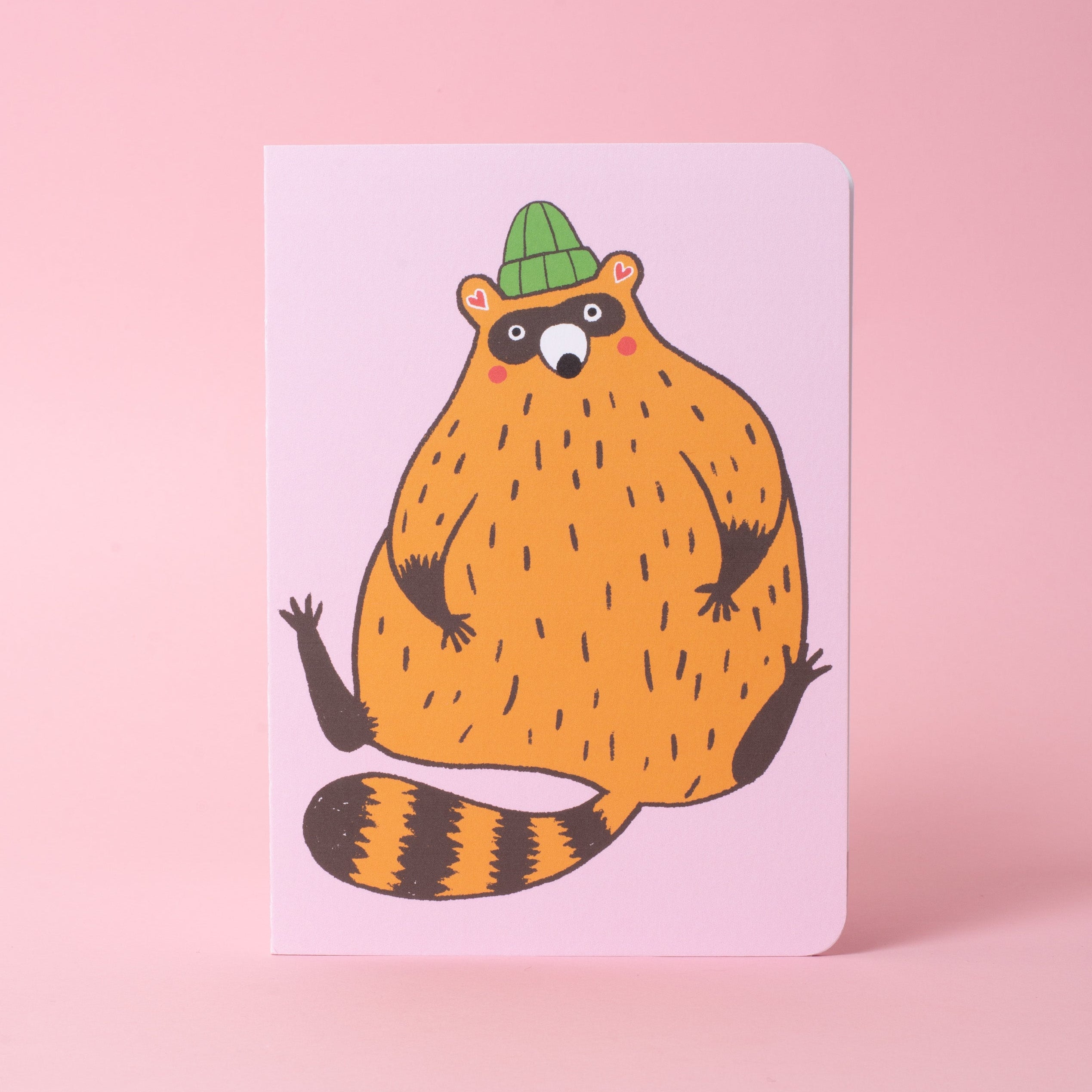 Fat Raccoon B6 Blank Notebook