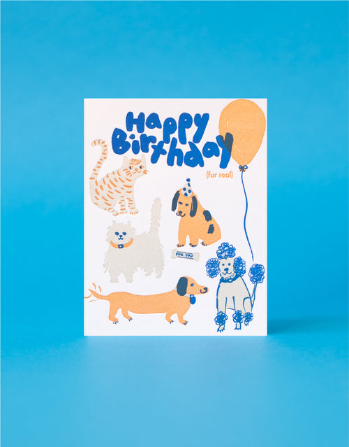 Cats & Dogs Birthday Letterpress Greeting Card